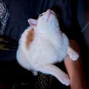 Meet your Posher, Shae